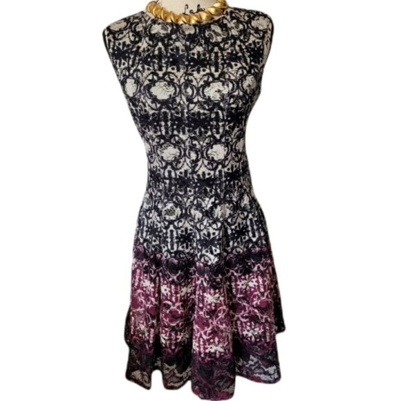 Ombre Lace Overlay Fit And Flare - Picture 1 of 3